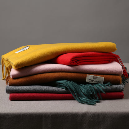 2025 Autumn and Winter Sky Pure Color Imitation Cashmere Scarf Single Color Thickeneded Warm Shawl New Candy Color Taobao Dropshipping