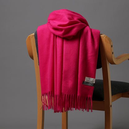 2025 Autumn and Winter Sky Pure Color Imitation Cashmere Scarf Single Color Thickeneded Warm Shawl New Candy Color Taobao Dropshipping