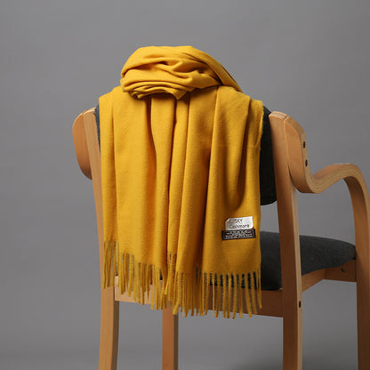 2025 Autumn and Winter Sky Pure Color Imitation Cashmere Scarf Single Color Thickeneded Warm Shawl New Candy Color Taobao Dropshipping